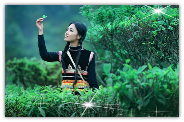 茶如人生,心素如简【美文欣赏】 - 我是一片云 - 我是一片云