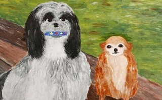 专收“烂作”的博物馆